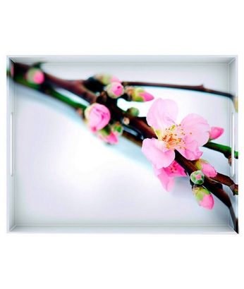 EMSA CLASSIC EM506926 Поднос Cherry blossom 40 х 31 см